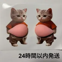 お腹シール 柴犬 猫 ネコ おなかぷくぷくシール 3D ぷにぷに 推し活 スマホ