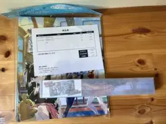 コレクションファイル トレーナーズサロン ポケマスEX 9ポケット