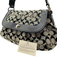 COACH コーチ シグネチャー ワンショルダーバッグ ハンド F13739