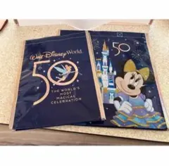 ２枚　フロリダ　ウォルトディズニー　wdw 50周年　エコバッグ　海外　カバン
