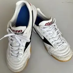 Item thumbnail for item 03191d9e-82bf-421f-b973-02411145b5b8