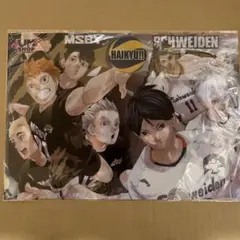 ハイキュー　クリアファイル　JUMP SHOP期間限定店限定ver