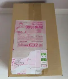 ポケモンカード　スペシャルbox フクオカ