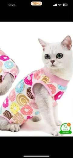 Item thumbnail for item c87edbc2-a251-48bb-9d64-58513d644ae0