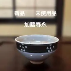 2025年最新】加藤春永の人気アイテム - メルカリ