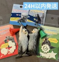 2026年最新】鳥羽水族館 ラッコ キーホルダーの人気アイテム - メルカリ