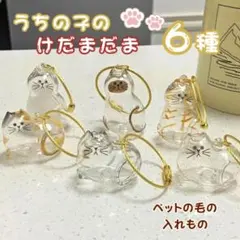 【6個セット】猫 キーホルダー メモリアル 毛入れ ペット遺毛ケース ねこ