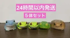 うるツヤてのりフレンズ　アメフクラガエル　アカメアマガエル　イエアメガエル　グミのサムネイル
