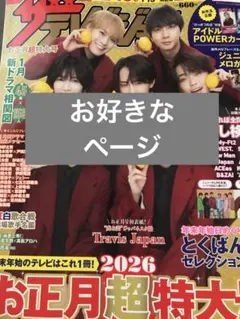 ザ テレビジョン お正月超特大号