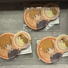 ポケモンマスターズEX　ポケモン＆トレーナー缶バッジ 【グリーン&ピジョット ３