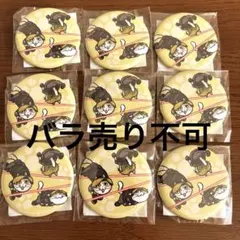 激レア 2014年激レア 非売品 ふなっしー 缶バッジ グッズ ふなっし