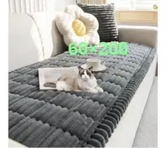 Item thumbnail for item c7bd88b8-b51f-4318-88dc-c6b003f1458b