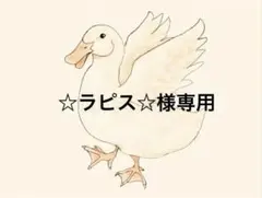 ☆ラピス☆様専用