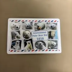 国際ホッキョクグマデー 2026 マグネットのサムネイル