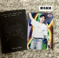 straykids スキズ　dominATE VR ラントレ　スンミン　1枚