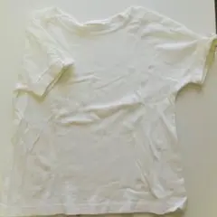 白Ｔシャツのサムネイル