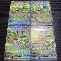 オーガポンみどりのめんex sar 4枚