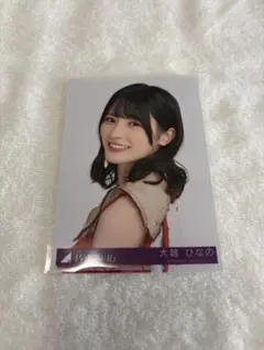 【匿名配送】 大越ひなの 乃木坂46 生写真 ビリヤニ封入 A 1