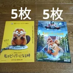 映画　私がビーバーになる時　2種　フライヤー　チラシ