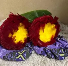 ウリウリ Sサイズ（カバー付き）フラダンス楽器のサムネイル