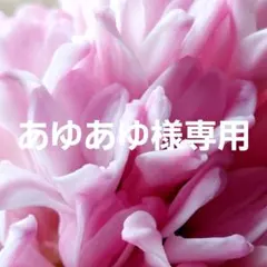 あゆあゆ様専用 ✻ ポーチ　ハンドメイド