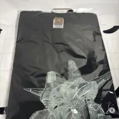 カネコアヤノ　Tシャツ　おまけ付き