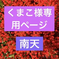 くまこ様専用ページ