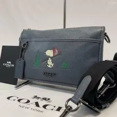COACH スヌーピー ピーナッツ 2WAYショルダーC4027 COACH スヌーピー ピーナッツ 2WAYショルダーC4027 - メルカリ