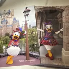 ディズニーランド ハロウィン 2024 写真 スペフォ フレンジー　2枚
