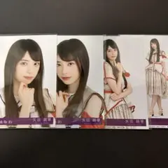 矢田萌華 乃木坂46 ビリヤニ 封入 生写真 ４種 コンプ