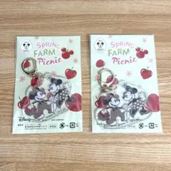 【ディズニー】新品 ミッキー＆ミニー 春のピクニック キーホルダー 非売品 2個