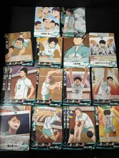 ハイキュー バボカ 14種17枚セット