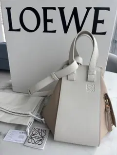 LOEWE ロエベ 日本限定 ハンモック スモール スナ フジタ コラボ