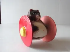 Item thumbnail for item 2b35d817-24ec-4077-909b-3543eb24f467