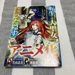 転生した大聖女は、聖女であることをひた隠す 12