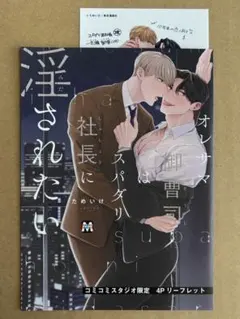 ためいけ コミコミ 特典 リーフレット