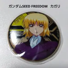 2026年最新】seed フィルム カガリの人気アイテム - メルカリ
