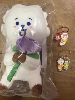BTS BT21 RJ ジン JINセット ぬいぐるみキーホルダー ランダム - メルカリ