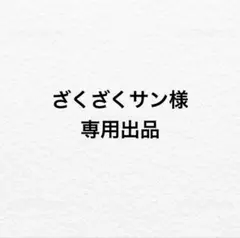 専用出品