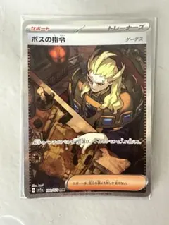 み*ぃ様 折れ目あり　ボスの指令　ゲーチス　SAR