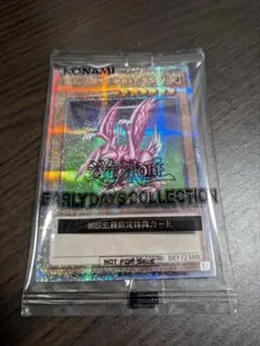 ホーリー・ナイト・ドラゴン　クオシク