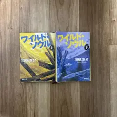 ワイルド・ソウル 上下セット