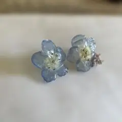 ハンドメイド　ネモフィラ樹脂ピアス