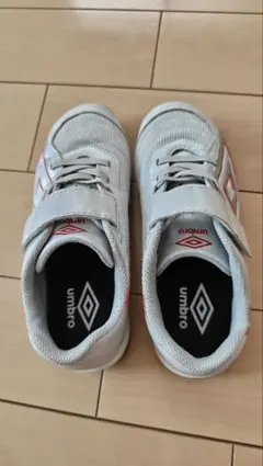 Item thumbnail for item d72d3500-6115-4599-917c-645fe0d60d09