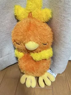 ポケモン　アチャモ　ぬいぐるみ