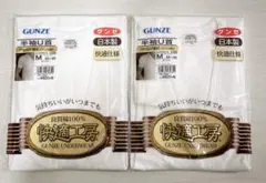 Item thumbnail for item d30a1f4b-5909-41bf-99bf-bce7b28f2908