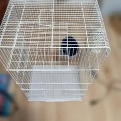 小動物用ケージ ハンモック付き ホワイトのサムネイル