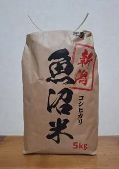 【都度精米】新潟県魚沼産コシヒカリ　棚田米☆令和7年産5キロ