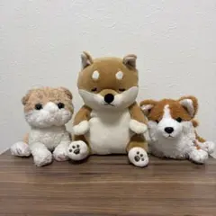 ぬいぐるみ3体セット　犬 柴犬 子供用