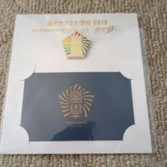 嵐のワクワク学校 2019 ピンバッチ